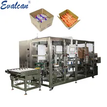 Karton Kutu Şekillendirme Doldurma Paketleme Çok Fonksiyonlu Makine Kasa Paketleyici Paletleyici