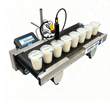 Geïntegreerde transportband inkjetprinter voor continue batchdatumcodeprinten