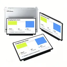 13.3 Zoll TFT LCD Modul mit kapazitivem Multitouch-Bildschirm (PCAP)