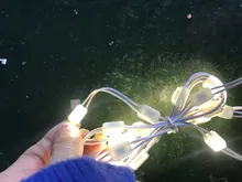 Módulo de Iluminação LED 170degree Lente de Publicidade Luz Módulo Único à Prova d'Água