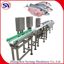 Automatische riemgewichtgrader machine vis gevogelte classifier systeem