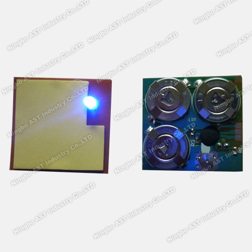 LED-Blitzmodul kabelloses LED-Blinkmodul Einzelbatterietaster-LED pictures & photos