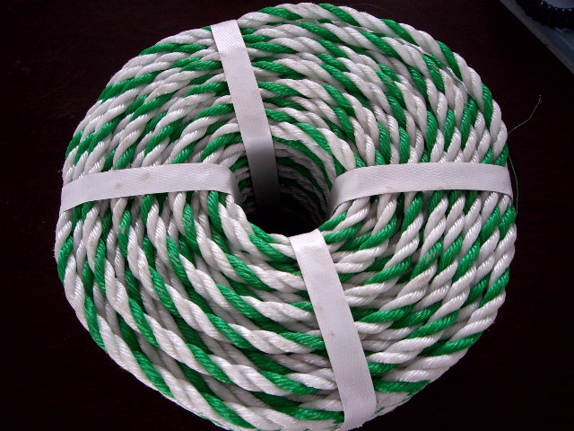 Cuerda de PE de alta calidad Cuerda de agua Cuerda trenzada 3 Cuerda de PP Cuerda de nylon pictures & photos