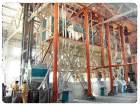 Grain Processing Machine