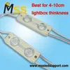 Módulo LED a Prueba de Agua DC12V 0.48W 2 Luz LED SMD 2835 Módulos de Inyección LED Mini para Iluminación de Señalización