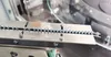 Advanced Rke1500 Automatic Vision Sorting Machine for Nut Inspection