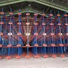 Rak Stacking Multi Layer Shuttle Rak Kepadatan Tinggi Rak Pallet Berat Sistem Rak Penyimpanan Gudang Racking Shuttle Radio Otomatis