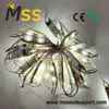 Módulo LED a Prueba de Agua DC12V 0.48W 2 Luz LED SMD 2835 Módulos de Inyección LED Mini para Iluminación de Señalización