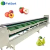 Sistema Automático de Classificação Linear por Peso de Pêssegos para Embalagem de Frutas Frescas