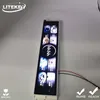 Angepasster 4 Digit Farbiger Kochherd LED-Anzeigemodul