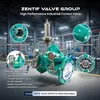 Flow-Limiting Check Valve for Fire Protection System