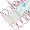 Modulo Mini LED per Insegne 12V DC 2LED Dimensione Mini IP65 Modulo LED per Scatole di Luce Pubblicitarie Insegna di Negozio Luce Modulo LED LED Moduli di Illuminazione