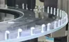 Advanced Rke1500 Automatic Vision Sorting Machine for Nut Inspection