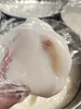 Pelumas Putih Berpresisi Laboratorium untuk Suhu Rendah