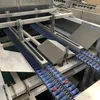 Date Palm Optical Sorting Machine, Size and Defect Sorting, Grading