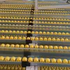 Estante de rodillos de almacenamiento intensivo profesional para estanterías de gravedad