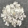Mu Li natürliche leere Ostrea Rivularis Muschelschalen für Kräuter