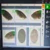 Vision Inspection Machine for Size Defects in Flatbread