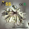 IP65 IP67 Einspritzung SMD LED Modul für Außenbeschilderung