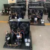 Unidade de Refrigeração com Parafuso em Paralelo para Grande Armazém de Frio