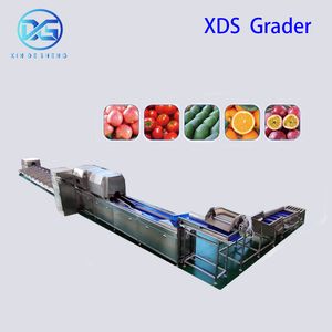 Fruit Multi-Spectral Sorting Machine, Ripeness Brix Defect Color Optical Grading Line