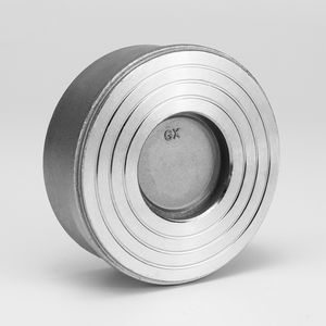 Customized Premium Wafer Check Valve for Exceptional Flow Efficiency