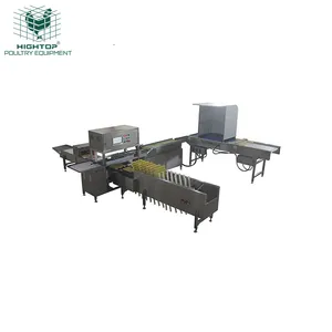 Automated Egg Grading System Using Plc Computer Screen Vision