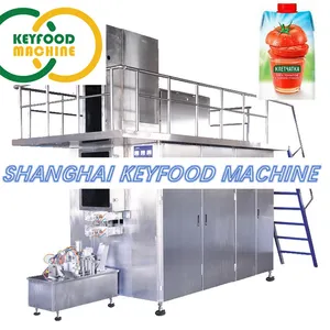 Multi-Functional Brick Carton Box Filling Machine