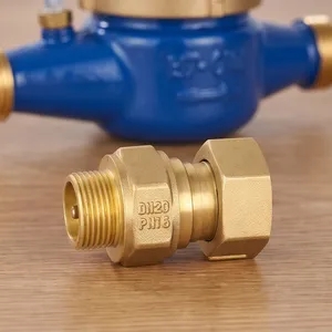 Brass One-Way Check Valve for Water Meter Prevents Meter Reverse Rotation