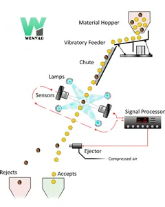Wenyao New Model 10 Chute Color Selection Machine Raisin Color Sorter