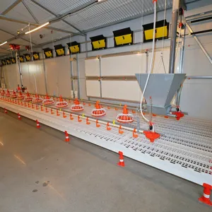 Optimized Automatic Poultry Farm Feeding Line System Design