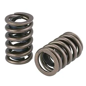 Professional Spring Manufacture Auto Spare Part Compressed Spring