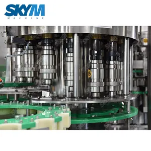 3000bph Automatic Plastic Small Bottle Pure Spring Water Filling Making Machine