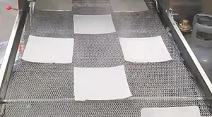 Automatic Spring Pancake Maker Spring Roll Making Machine Spring Roll Skin Machine