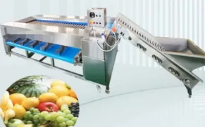 Factory Price Orange Sorting Machine Grading Machine Sorter Grader Machine