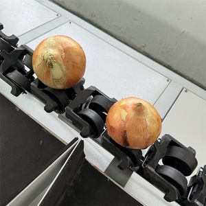 Fruit Computer-Controlled Grading Machine, Sorting and Packaging Line