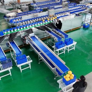 Spanish-Operated Interface Expert in Avocado Ripeness Sorting Machine