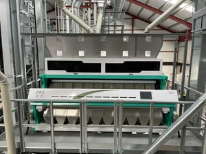 Wenyao New Model 10 Chute Color Selection Machine Raisin Color Sorter