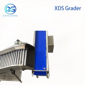 Color Sorting Machine & Packing Line – Integrated Sorting System