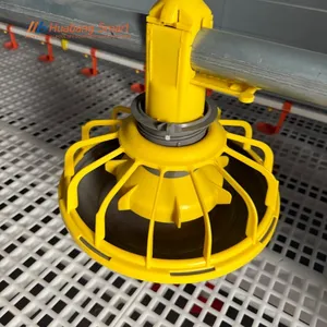 Comprehensive Poultry Farm Automatic Feeding Line System