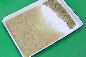 Nigeria Parboiled Rice Color Sorter Machine Rice Cleaning Machine