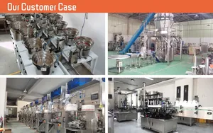 CCD Automatic Spring Thimble Fastener Visual Counting Packaging Machine
