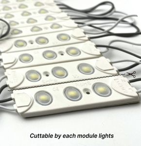 IP65 Module for Letter Sign Advertising Signs SMD5730 3-LEDs AC110V LED Module
