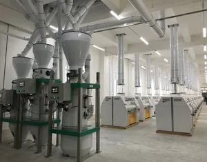 Spring Wheat Milling Processing Machine Plant