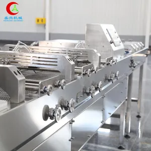 Factory Hot Sale Double Rows Spring Roll Machine Spring Roll Making Machine