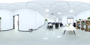Dual View Airport Custom Inspection System