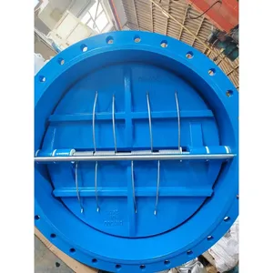 Rust Proof Customization Automatic Check Valve for Pump Protection