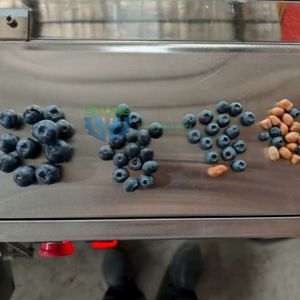 Blueberry Sorting Line Machine Cherry Grading Machine Reemoon Cherry Sorting Machine Blueberry Sorting Machine