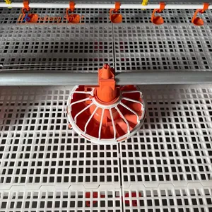 Comprehensive Poultry Farm Automatic Feeding Line System