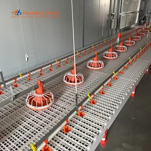 Comprehensive Poultry Farm Automatic Feeding Line System
